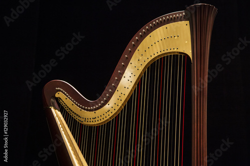 Foto Beautiful shape of harp, close up on the dark, black background
