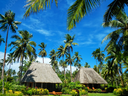 Traditional houses with thatched roof on Vanua Levu Island, Fiji © donyanedomam