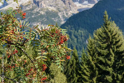 Beautiful landscape in the italian Alps. Dolomites, Italy