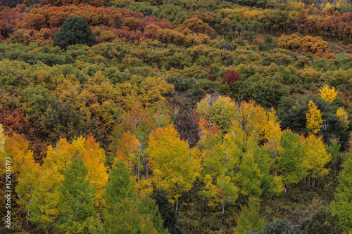 Fall in the Colorado mountains