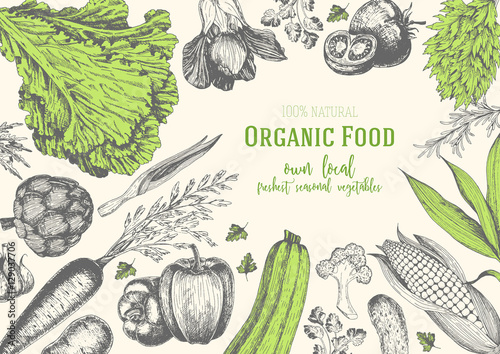 Vegetables top view frame. Organic food poster. Vector illustration. Linear graphic.