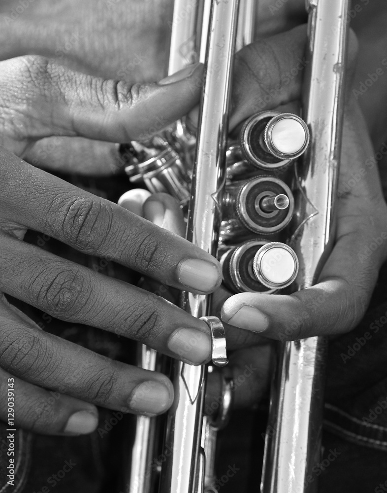 Fototapeta premium Old School Trumpet