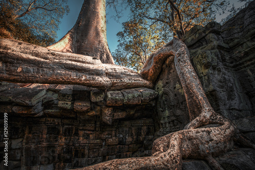 Ta Phrom