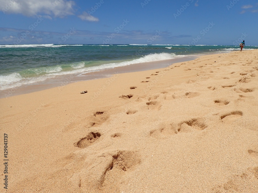 Diamond Head Cliffs Beach Diamond Head Cliffs Beach
