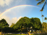 Moanalua Garden Rainbow