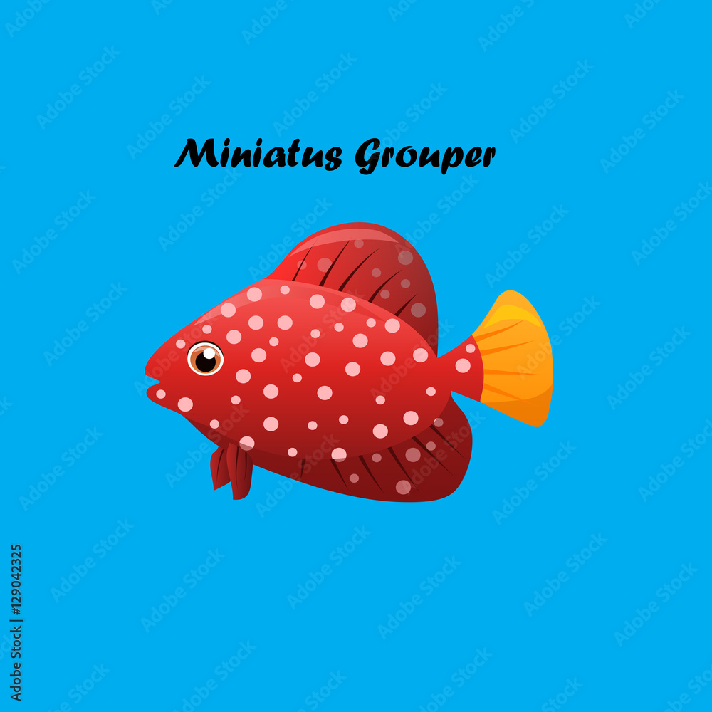 Miniatus Grouper fish