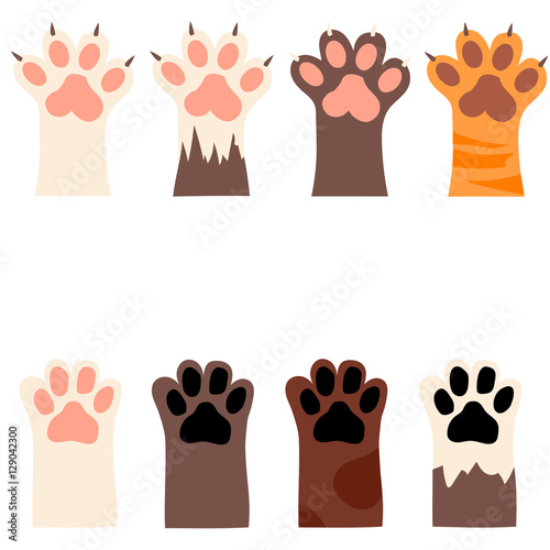 cat and dog paw print with claws
