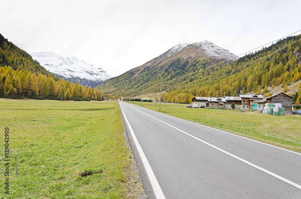 Fototapeta premium Mountains Road