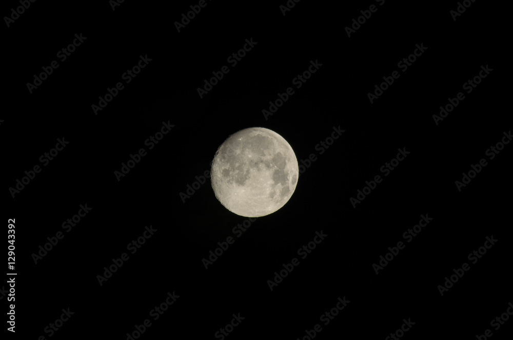 Moon Moon