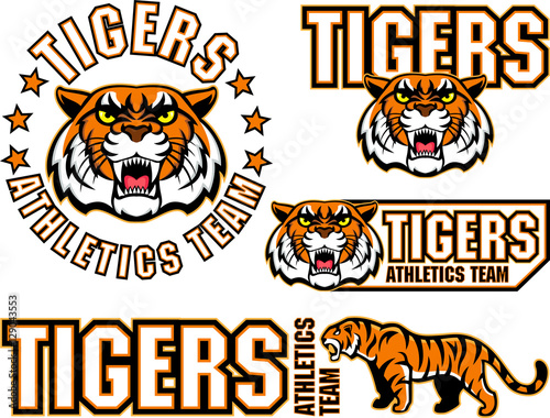 vector angry tiger face sport emblem