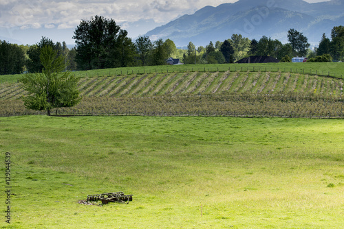 Farm Fields