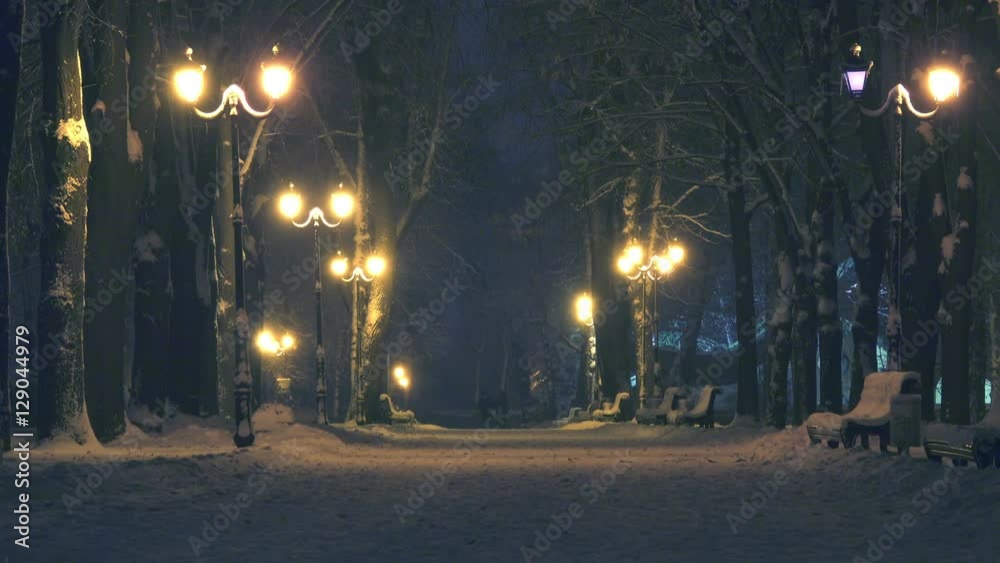 Night Alley in a winter park with beautiful lanterns and benches
