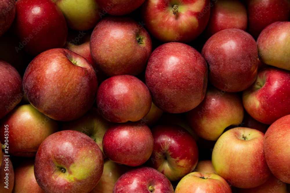 Apples Apples