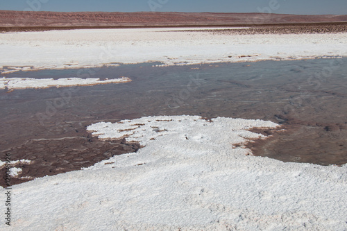 Hidden lagoons of Baltinache, Atacama Desert, Chile