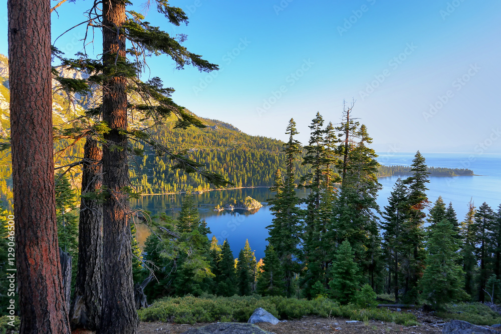 Fototapeta premium Pine forest surrounding Emerald Bay at Lake Tahoe, California, U