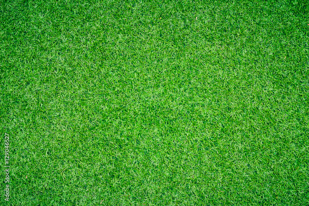 custom made wallpaper toronto digitalgreen grass background