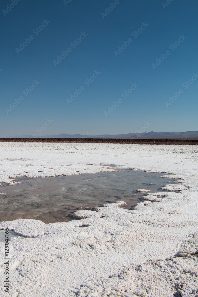 Hidden lagoons of Baltinache, Atacama Desert, Chile Hidden lagoons of Baltinache, Atacama Desert, Chile