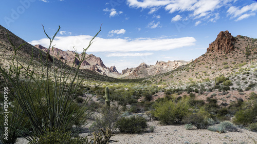 Summit Canyon in the Kofa Wilderness