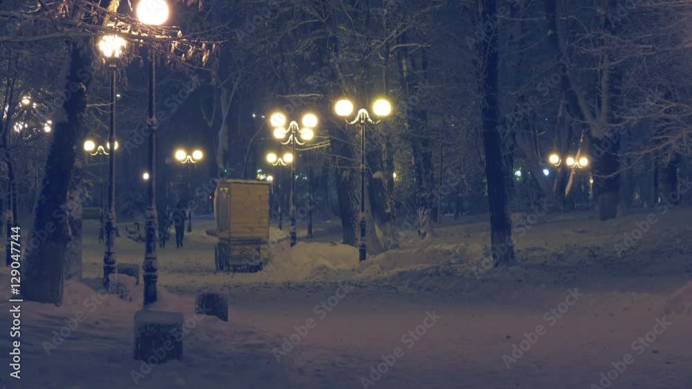 Night winter park with snow covered trees and alleys