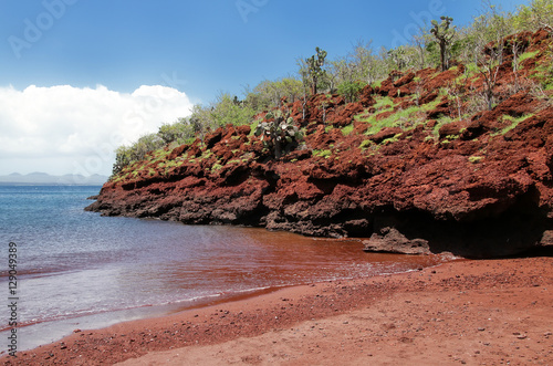 Red sand beach on Rabida Island, Galapagos National Park, Ecuado photo