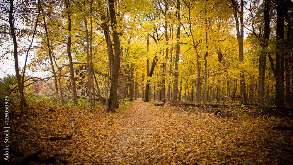 Fall Pictures in Midwest