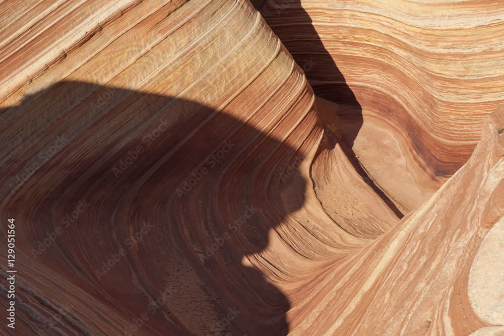 Obraz premium The Wave and North Coyote Buttes, Arizona-Utah border.