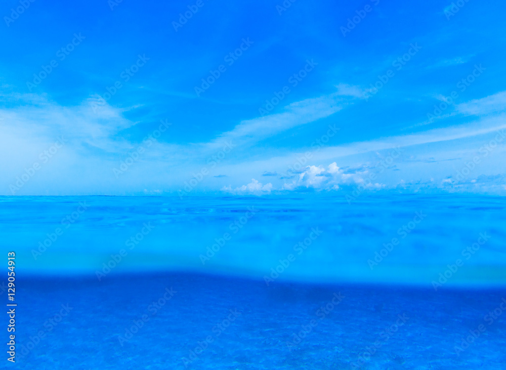 Obraz premium underwater