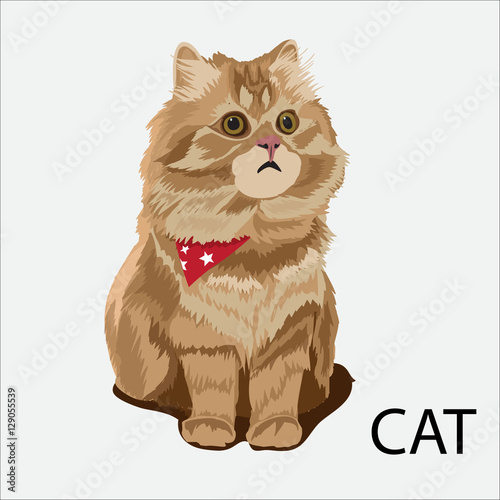 cat