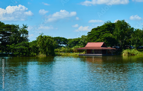 beautiful landscape