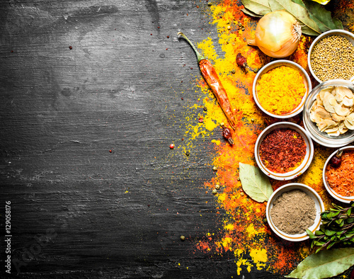 Fototapeta Naklejka Na Ścianę i Meble -  Big set of Indian spices and herbs