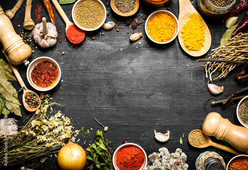 Frame of Indian spices and herbs.
