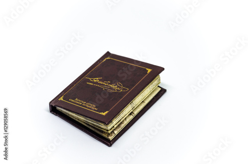 small book dostoevsky