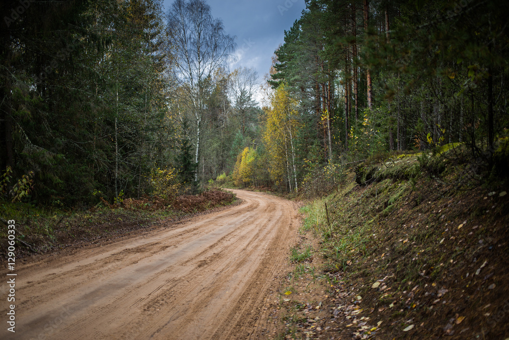 Naklejka premium Droga leśna przechodzi przez las jesienią