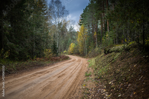 Fototapeta Naklejka Na Ścianę i Meble -  Forest road going through autumn forest