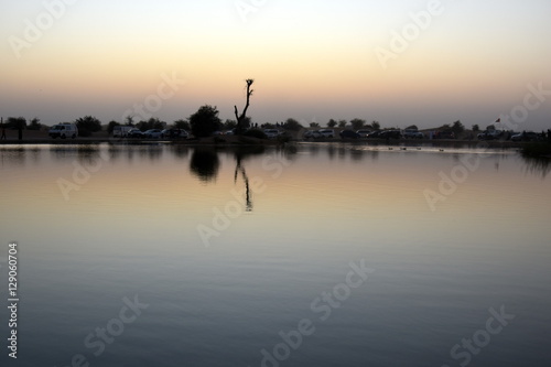 Al Qudra Lake  Dubai  United Arab Emirates