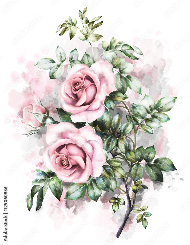 floral illustration in Pastel colors, pink rose. branch of flowers, isolated. green Leaf and buds. Cute composition for wedding or greeting card. bouqet on watercolor background. Splash paint