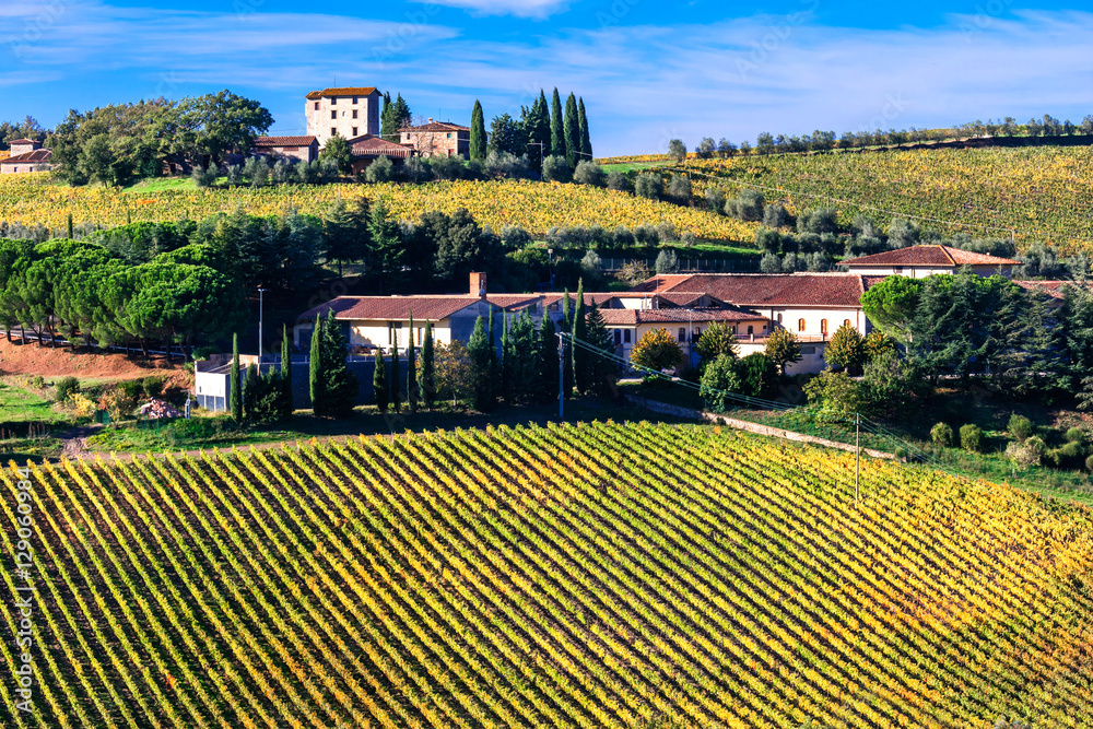 Beautiful Tuscany countryside -  wineyards in Chianti region, Italy