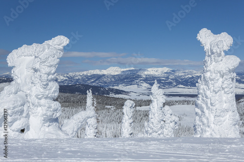 Ghost Trees on Two Top Mountain, West Yellowstone, Montana. photo