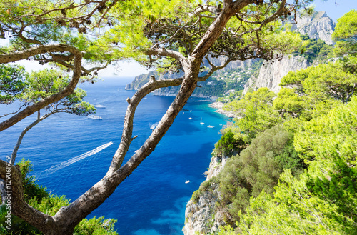 beautiful view on Capri island, Campania, Italy © lukaszimilena