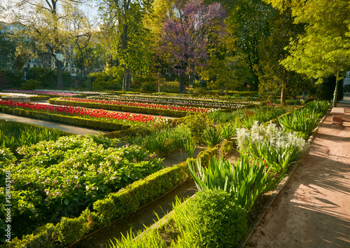 Madrid Botanic Garden - Real Jardin Botanico.
