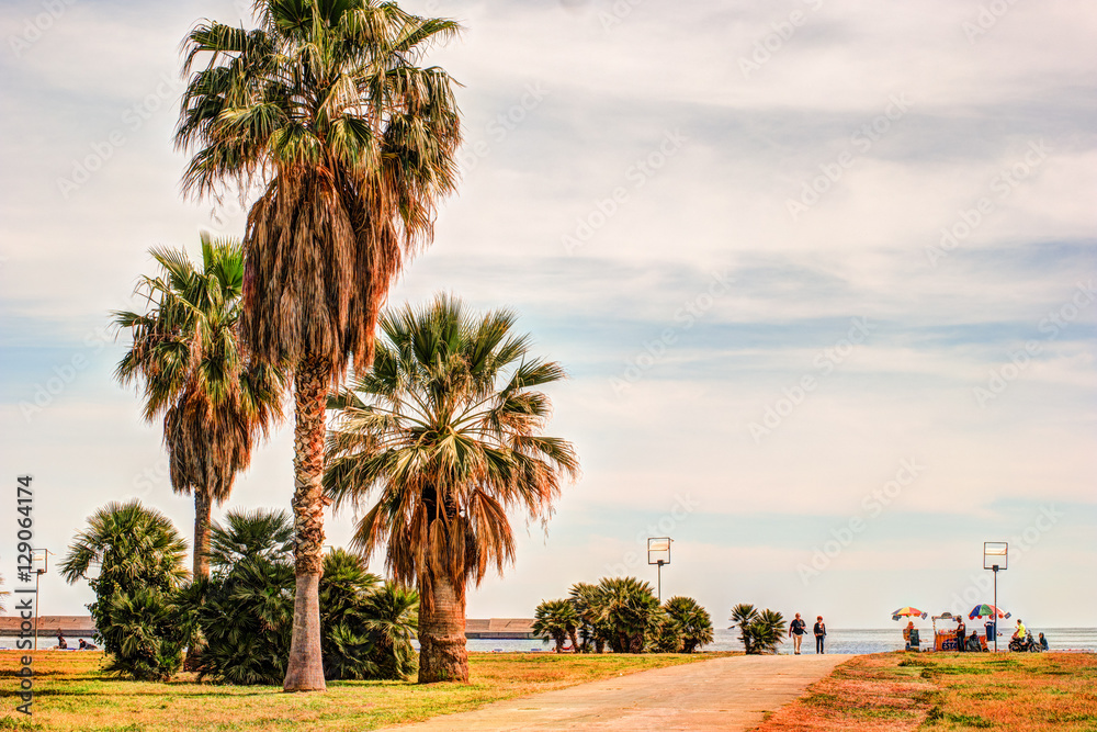 Palm trees along the coast in Palermo at beautiful sunny day. Image of tropical vacation and sunny happiness. Filtered vintage photo. Palm trees along the coast in Palermo at beautiful sunny day. Image of tropical vacation and sunny happiness. Filtered vintage photo.