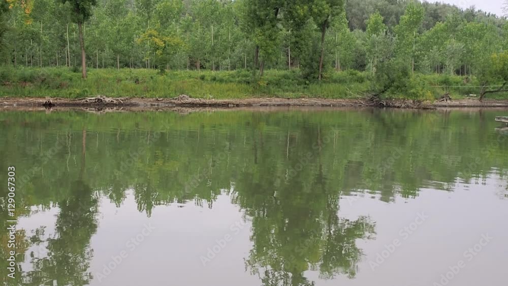 Motor boat is floating by river, the boat sails through the frame, green forest, rippling water, motor boat trace, summer, green trees Motor boat is floating by river, the boat sails through the frame, green forest, rippling water, motor boat trace, summer, green trees