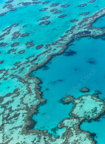 Fototapeta Naklejka Na Ścianę i Meble -  Great Barrier Reef, Australia