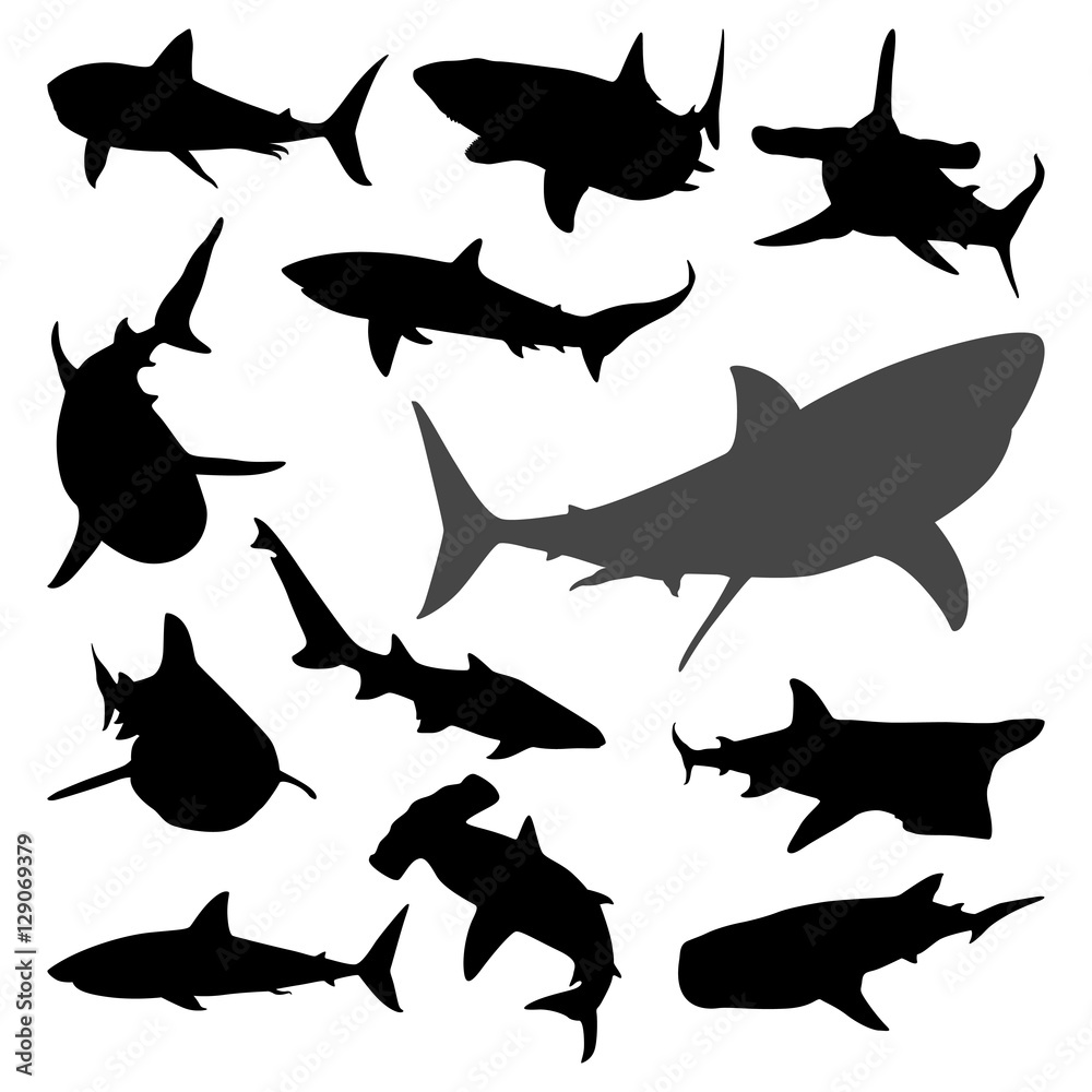 Fototapeta premium Various Shark Movement Silhouette Collection