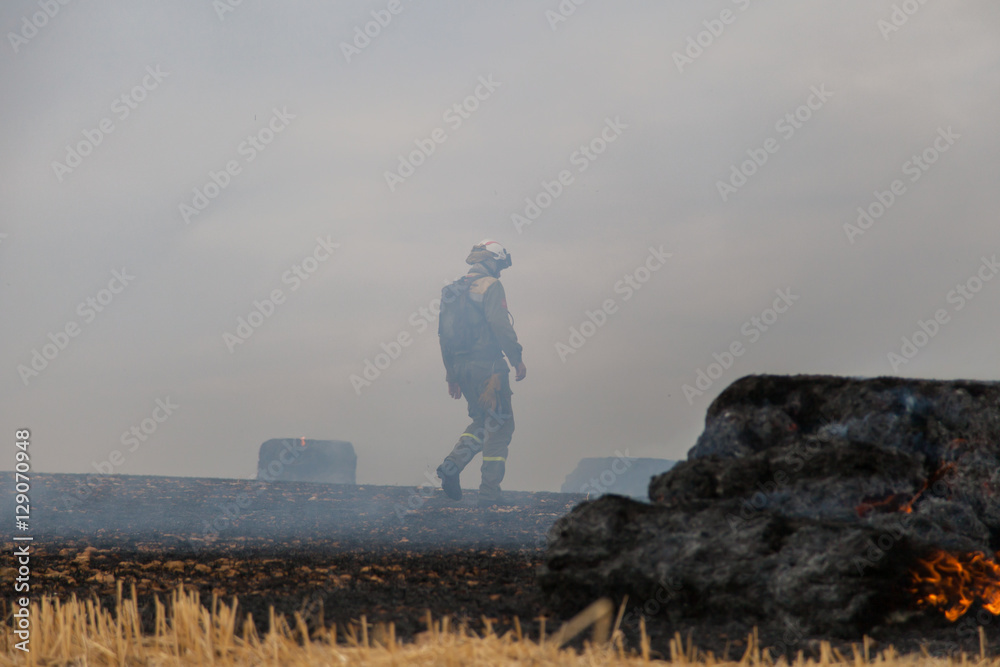 Obraz premium Firefighters putting out fire