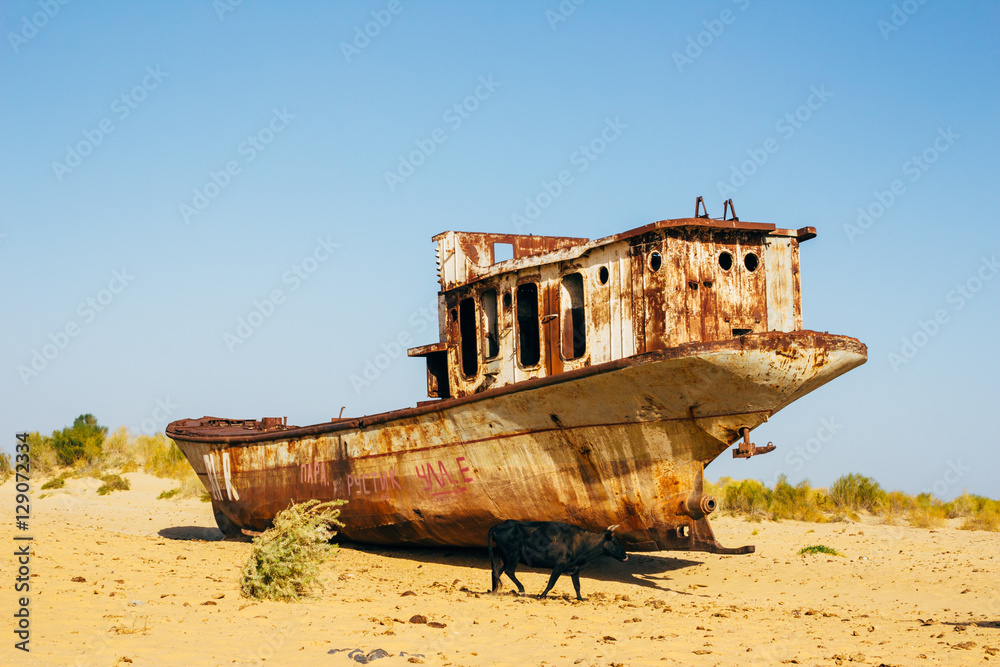 Old rustic boats and ships in a desert around Moynaq, Muynak or Moynoq - Aral sea or Aral lake - Uzbekistan, Central Asia. Old rustic boats and ships in a desert around Moynaq, Muynak or Moynoq - Aral sea or Aral lake - Uzbekistan, Central Asia.