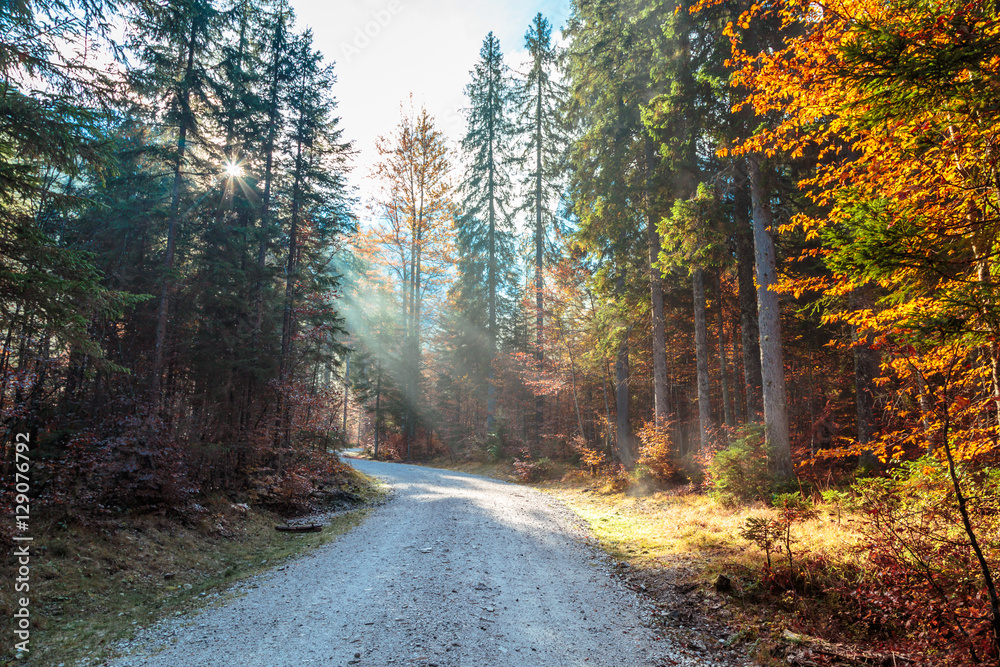 Obraz premium trekking path in an autumn day in the alps