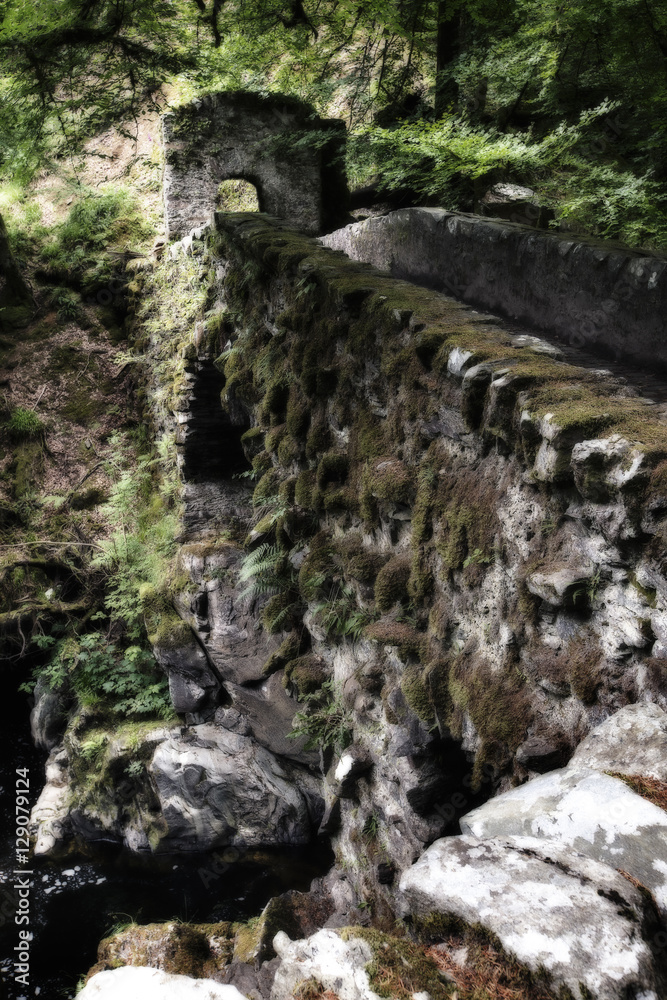 The Hermitage Bridge Perthshire Scotland with moss in artistic c