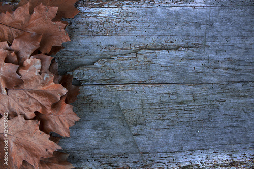 Fallen leafs in autumn. Space to write. Wooden table. Background