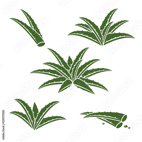 Aloe Vera labels and elements set. Vector